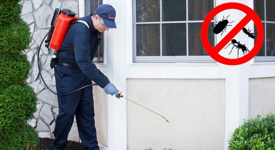 Ardanuç Bit İlaçlama böcek ilaçlama ve haşere kontrolü — ilaclama-tr.com